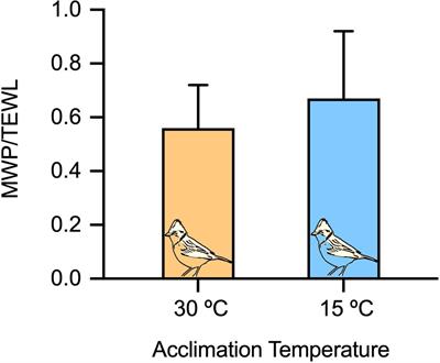 Triple Oxygen Isotope Measurements (Δ'17O) of Body Water Reflect Water Intake, Metabolism, and δ18O of Ingested Water in Passerines